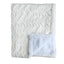 Winx & Blinx Ziggy Powder Minky Blanket